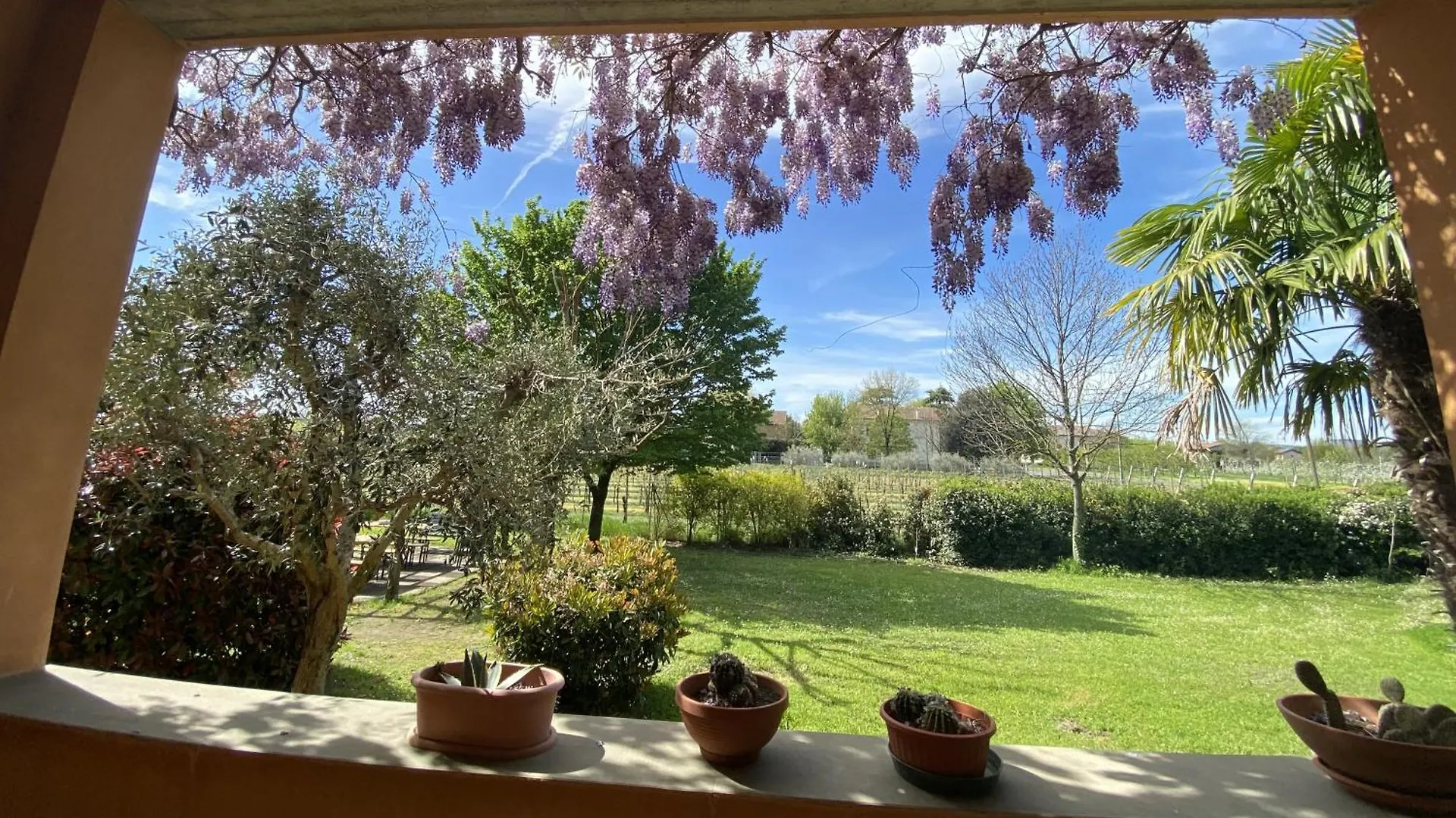 Ampio Appartamento Vicino All'Autodromo - Ample Apartment Near The Racing Circuit Imola